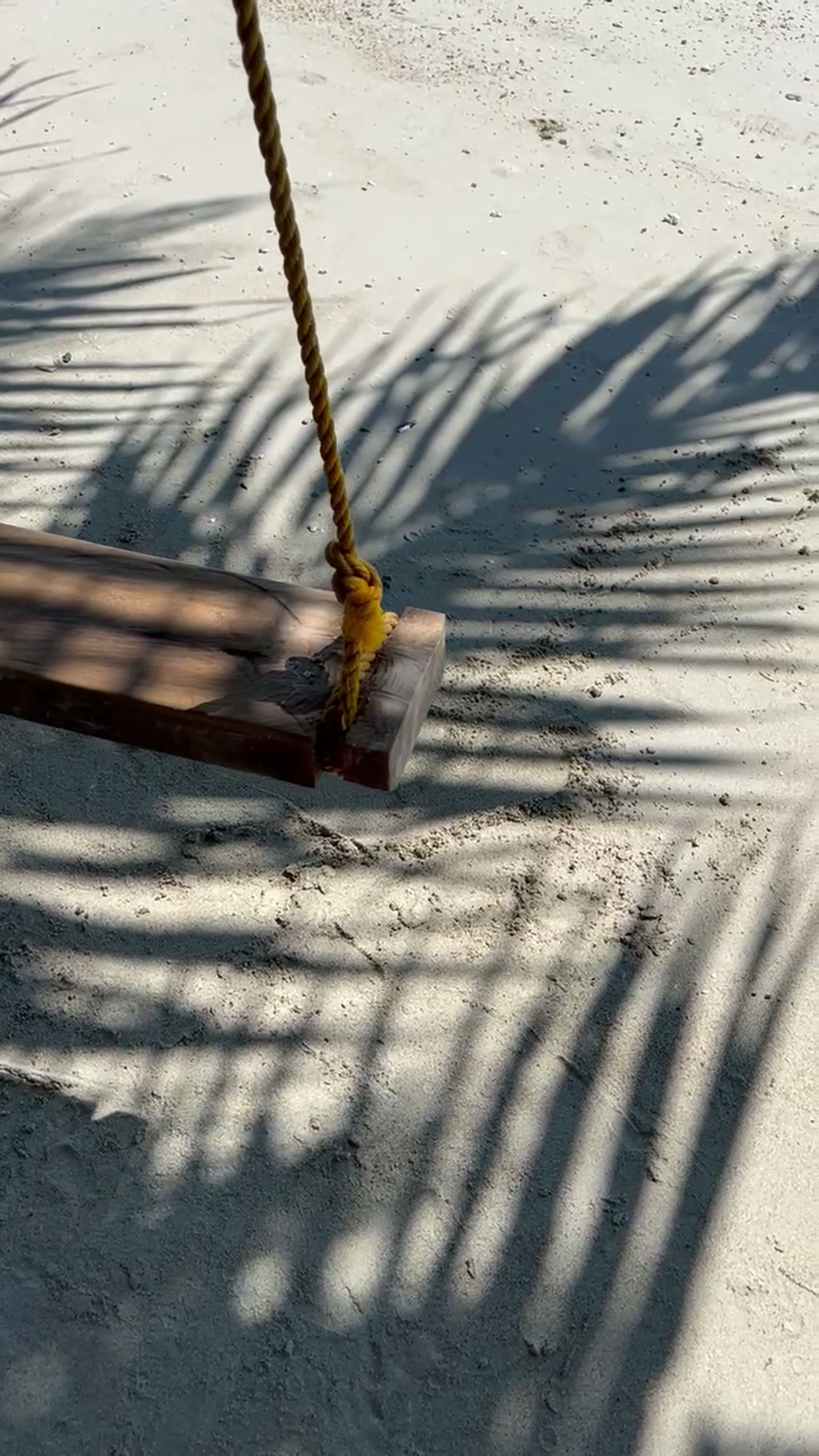 A wooden swing on a Hawaii beach beneath palm shadows