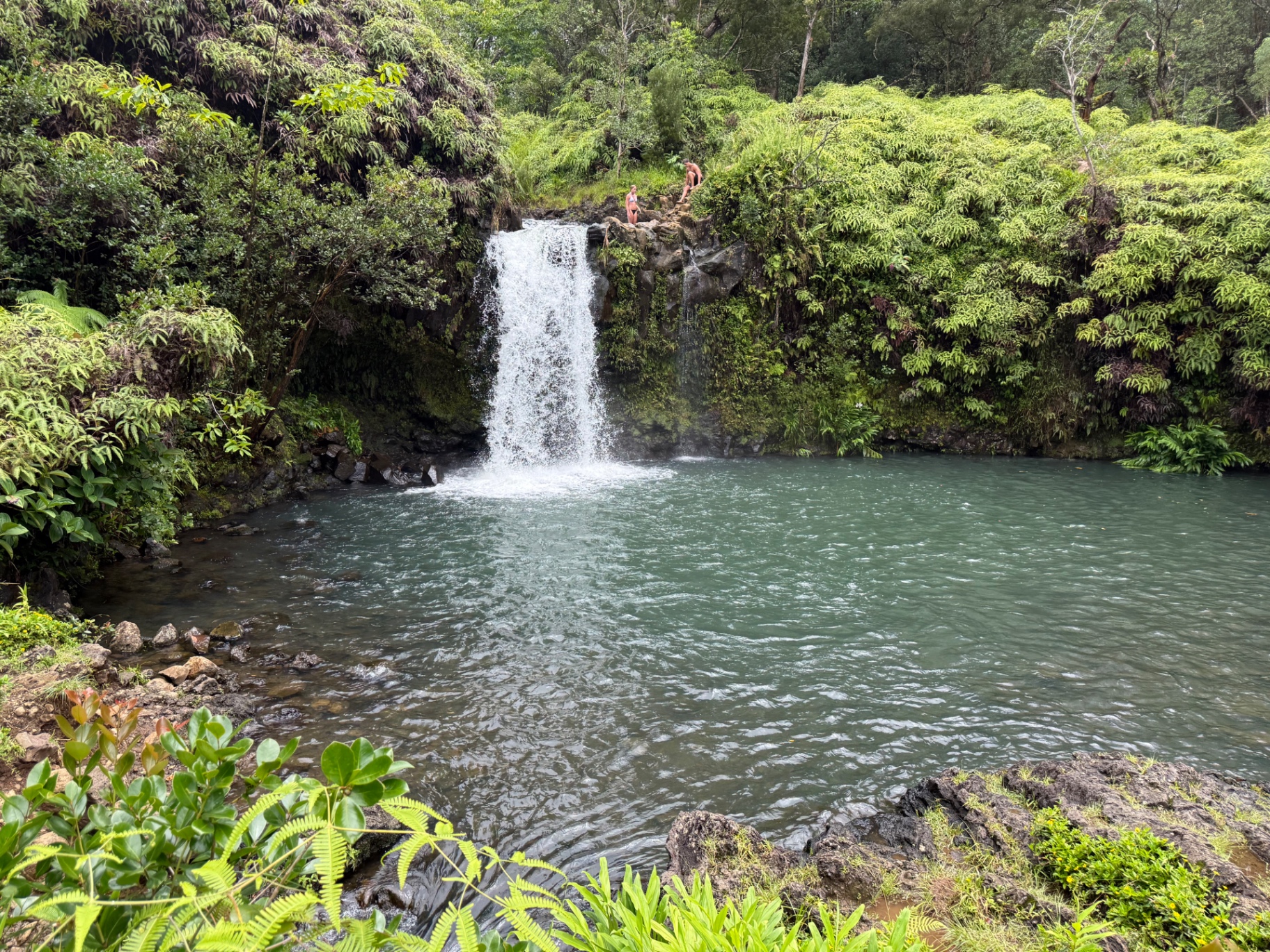 A waterfall spilling into a quiet pool on the Road to Hana